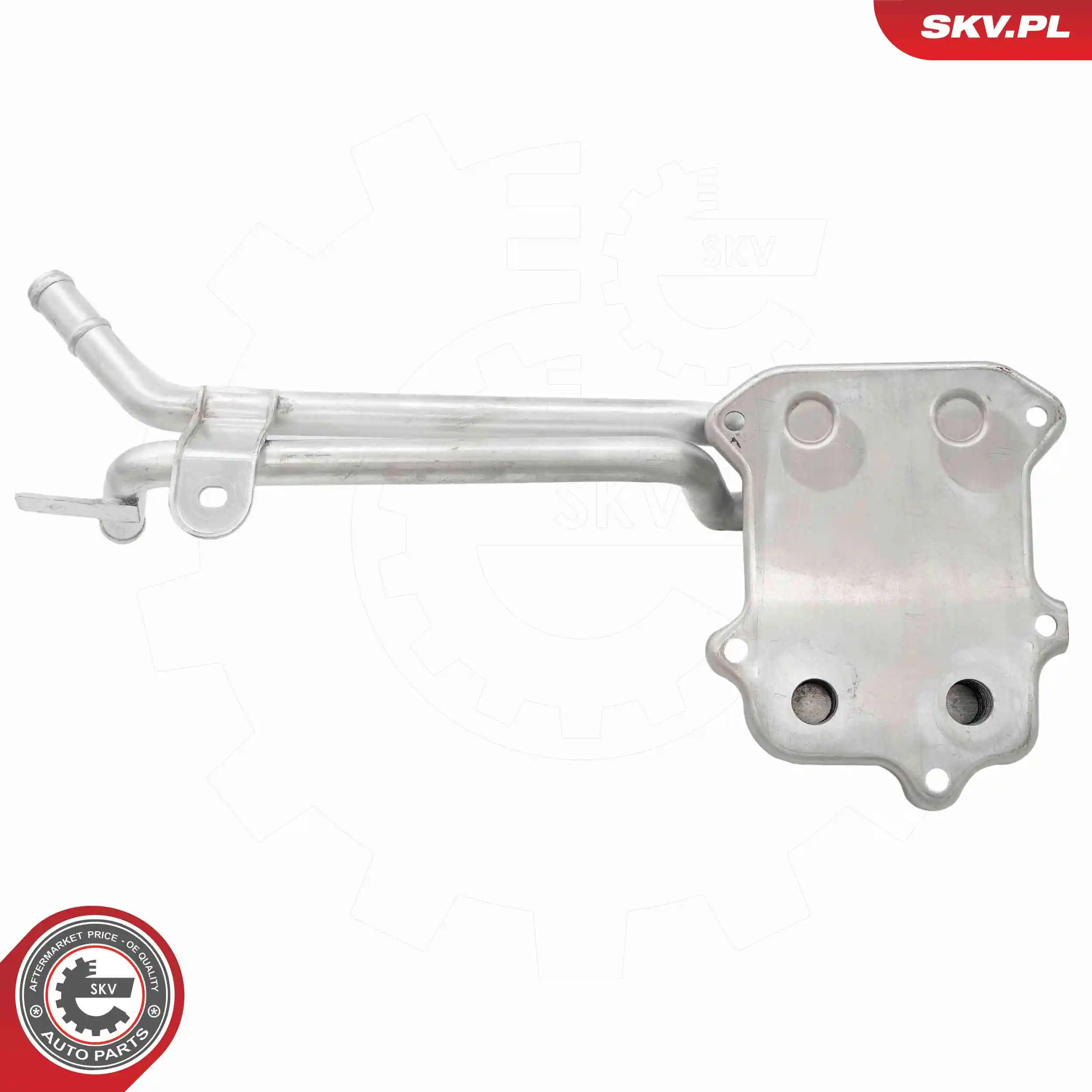 Oil Cooler, engine oil 31SKV288