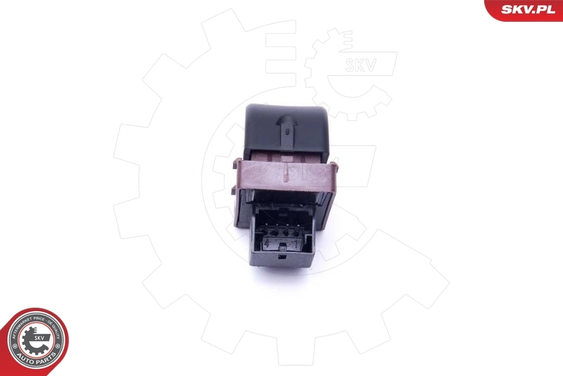 Switch, tailgate release 16SKV255