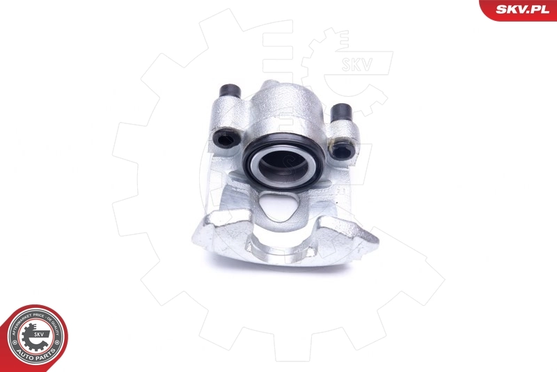Brake Caliper 45SKV451