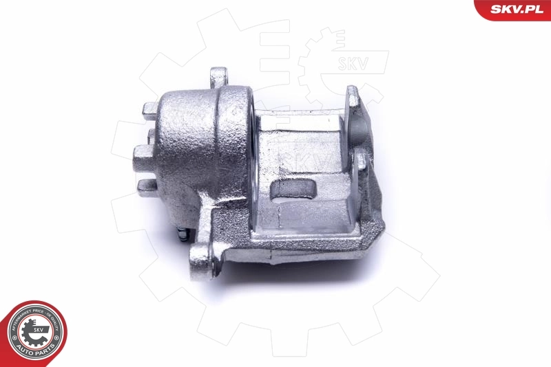 Brake Caliper 50SKV921
