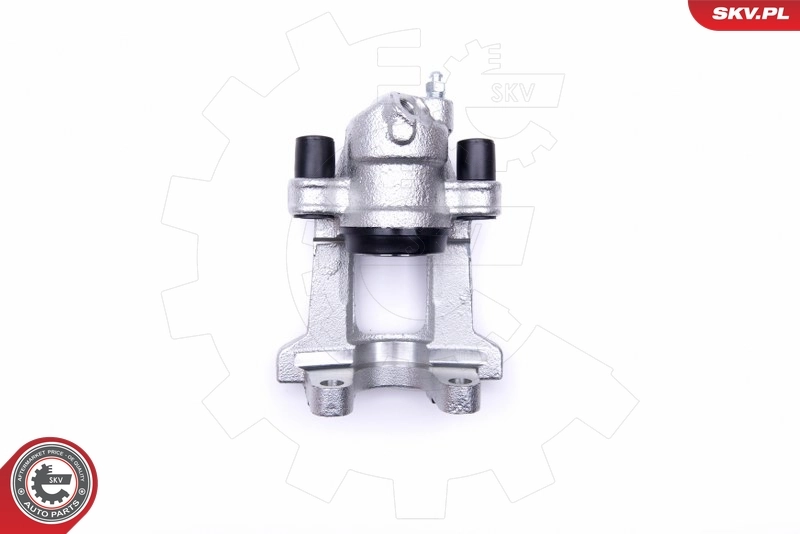 Brake Caliper 46SKV674