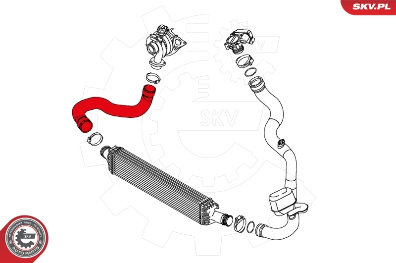 Charge Air Hose 24SKV123