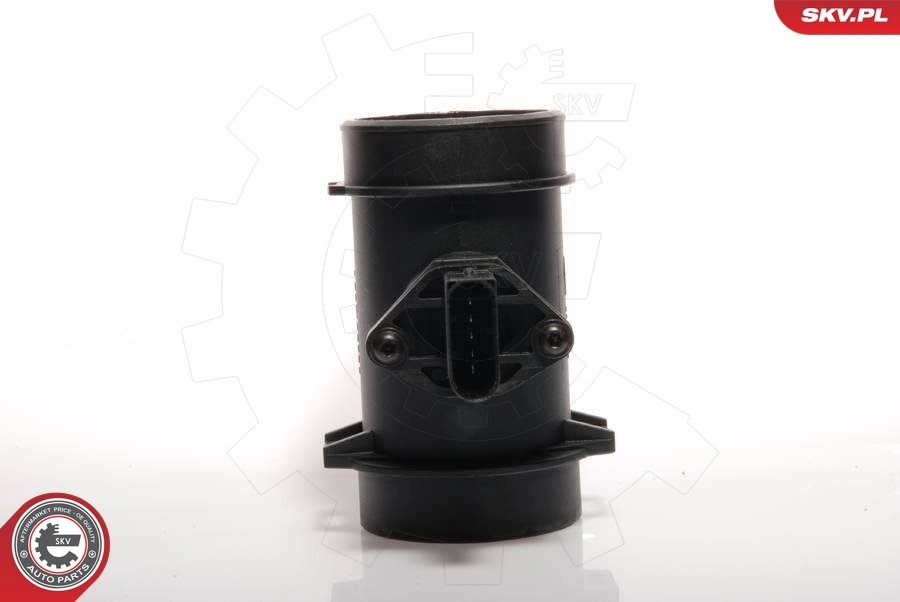Mass Air Flow Sensor 07SKV012