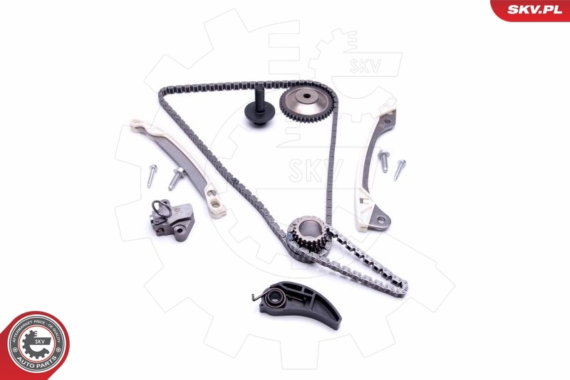 Timing Chain Kit 21SKV243