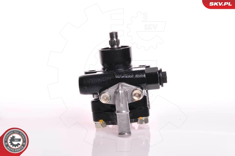 Hydraulic Pump, steering 10SKV078