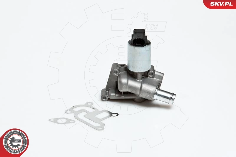 EGR Valve 14SKV030