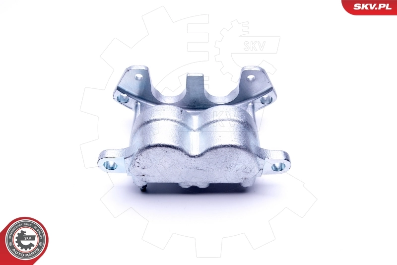 Brake Caliper 46SKV091