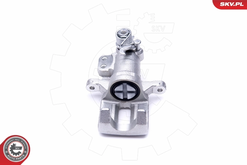 Brake Caliper 46SKV784