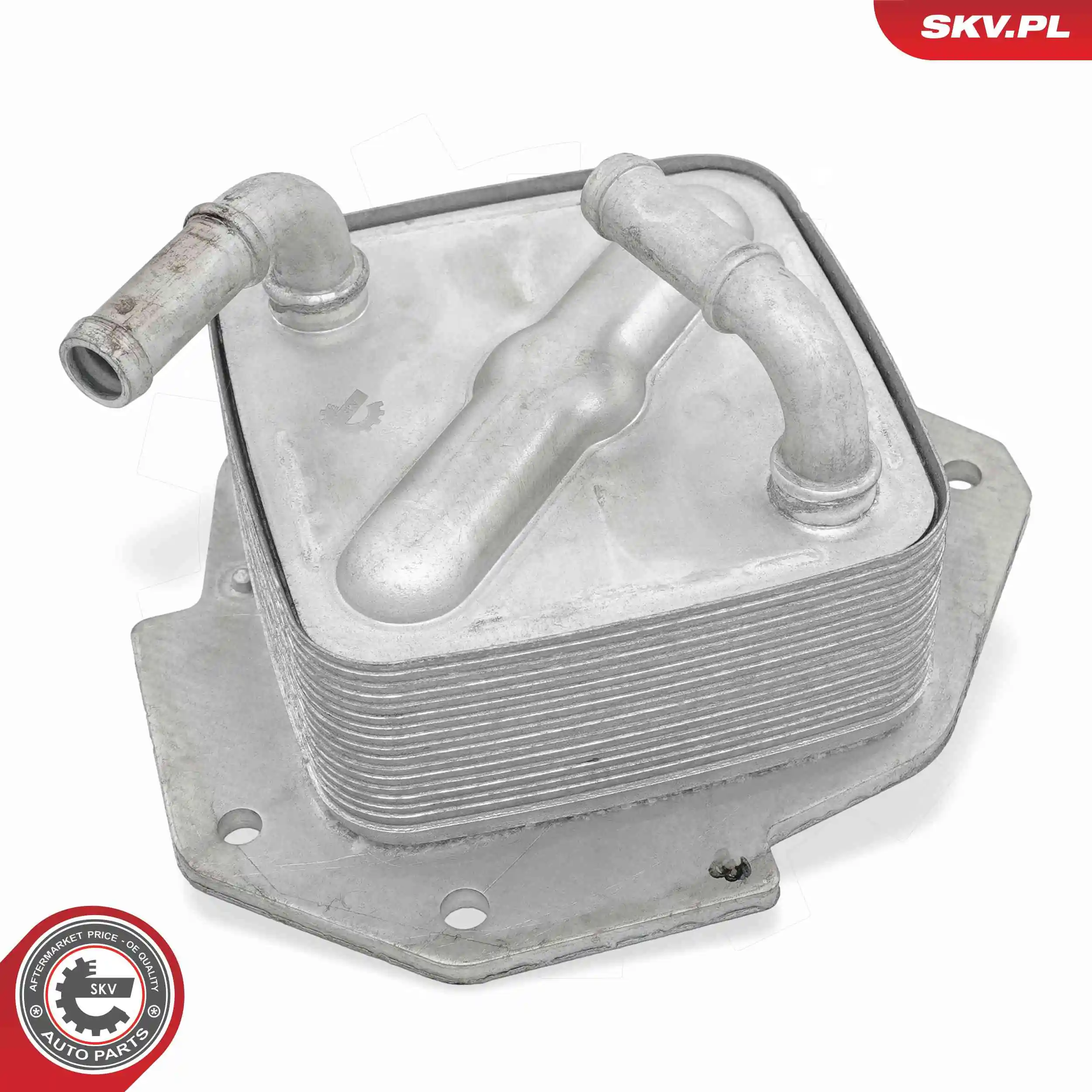 Oil Cooler, engine oil 31SKV349