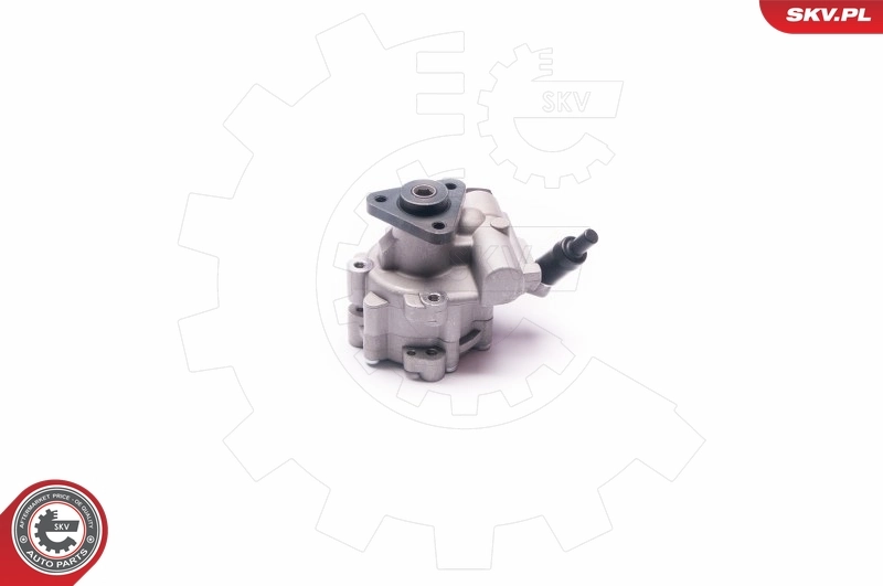 Hydraulic Pump, steering 10SKV030