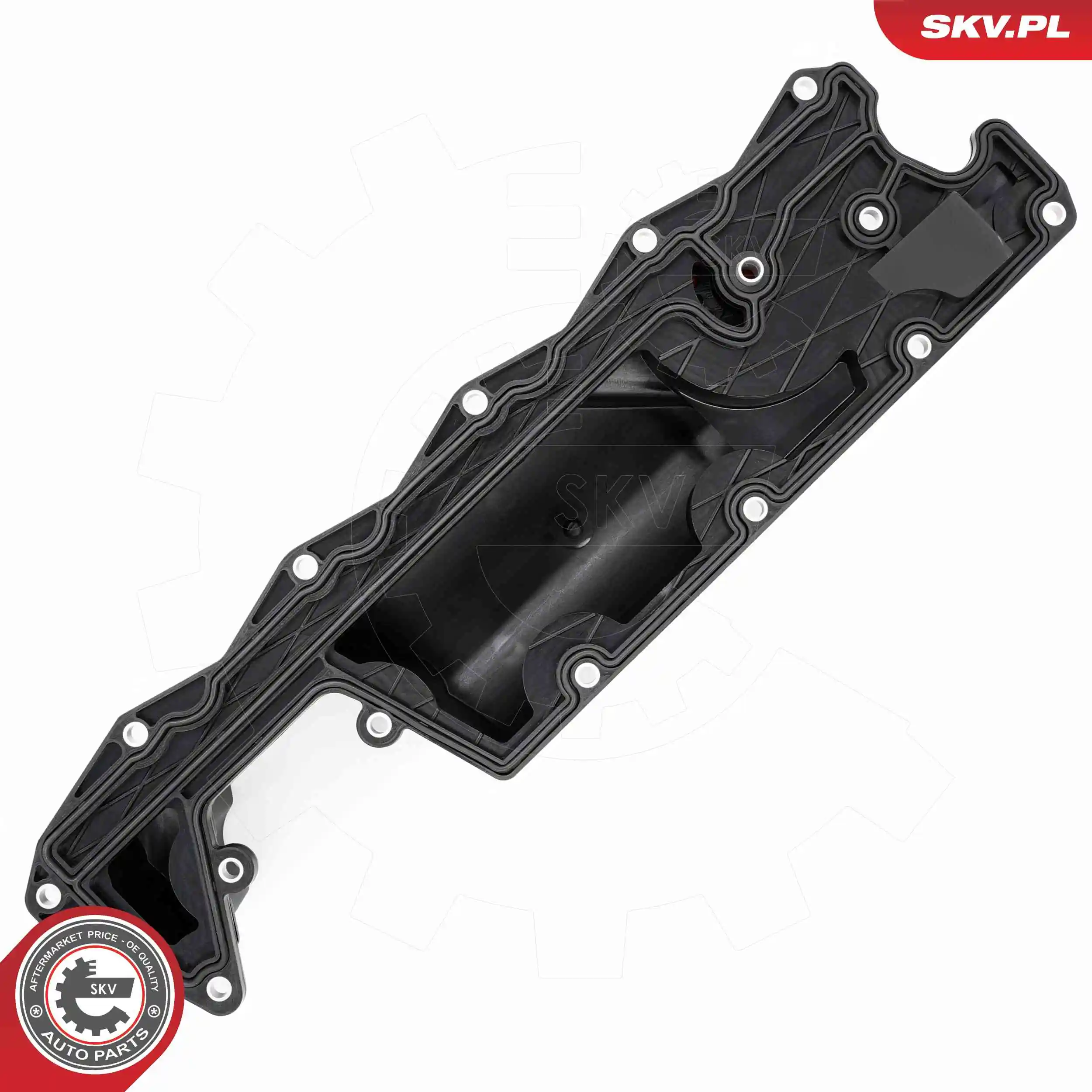 Cylinder Head Cover 48SKV117