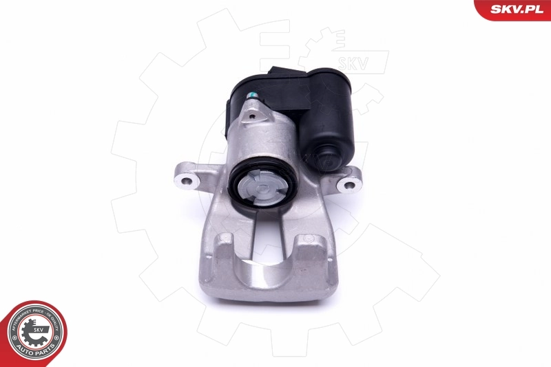 Brake Caliper 46SKV894