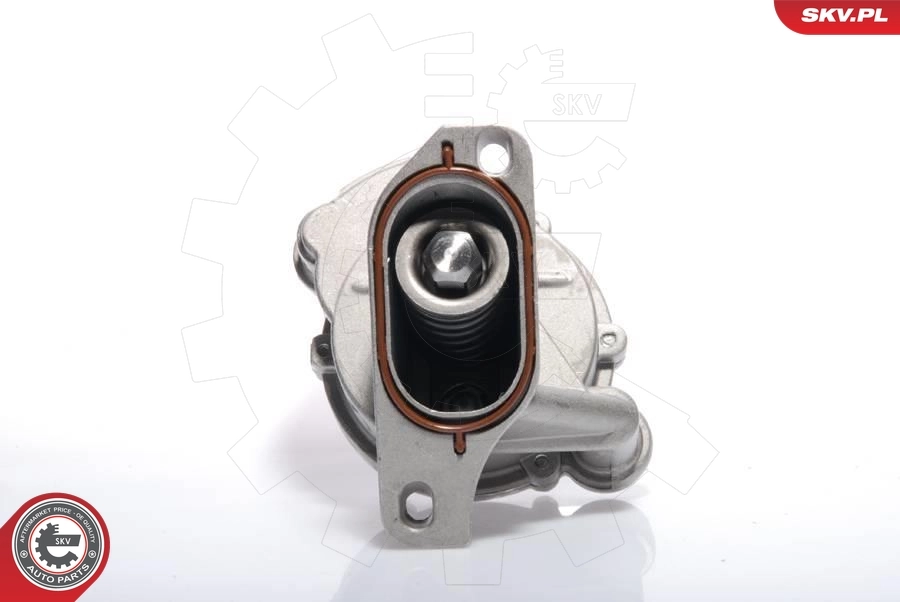 Vacuum Pump, braking system 18SKV009
