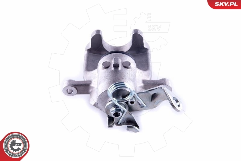 Brake Caliper 55SKV194