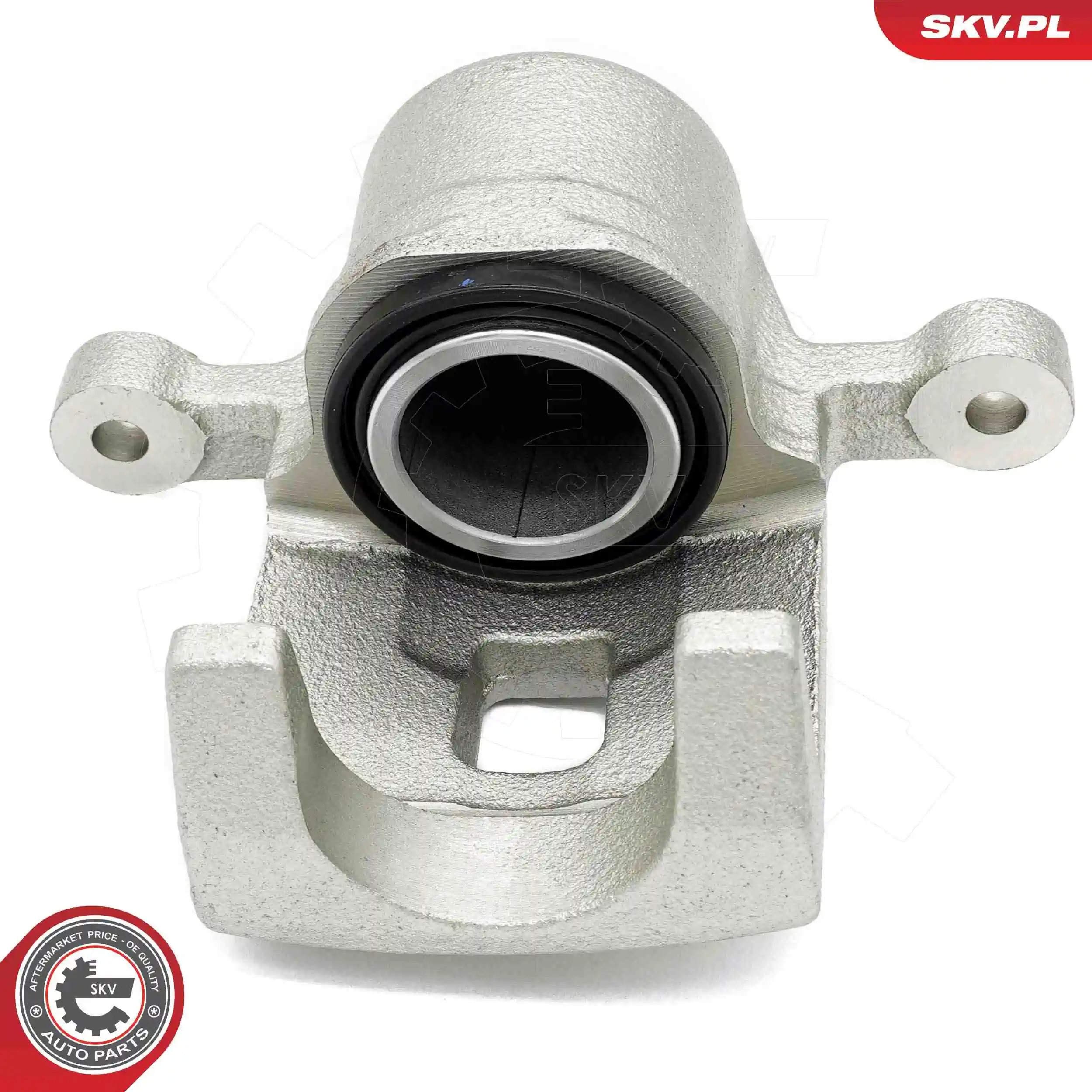Brake Caliper 67SKV303