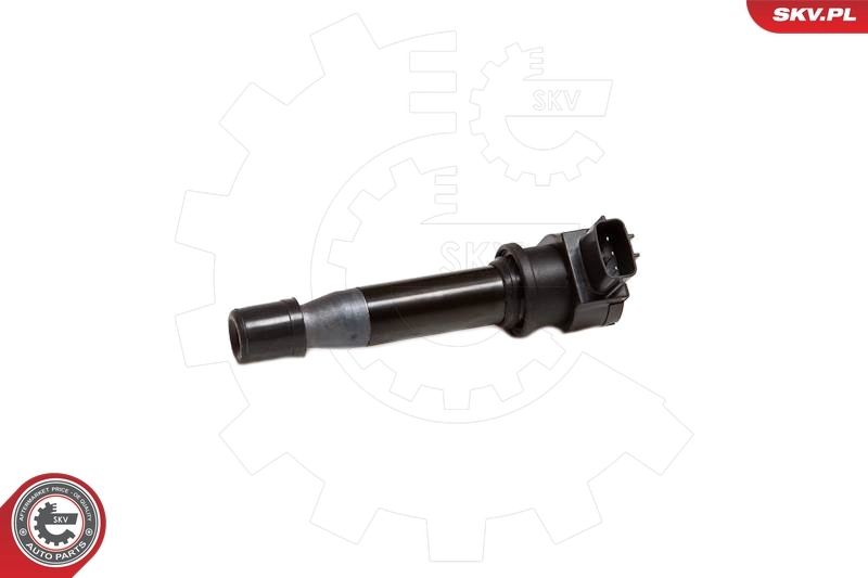 Ignition Coil 03SKV002