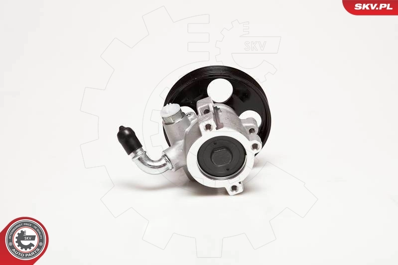 Hydraulic Pump, steering 10SKV031