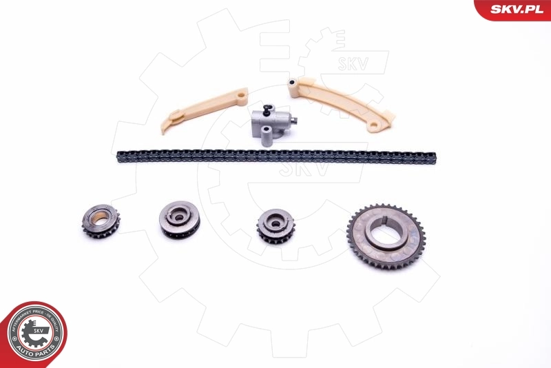 Timing Chain Kit 21SKV184