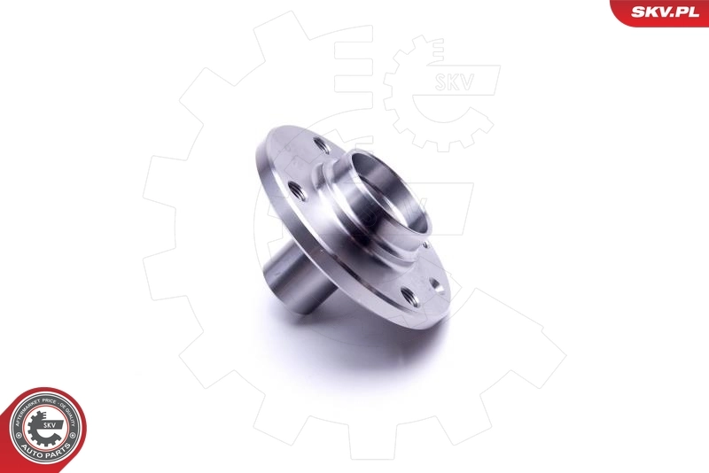 ESEN SKV 29SKV536 Wheel Bearing Kit