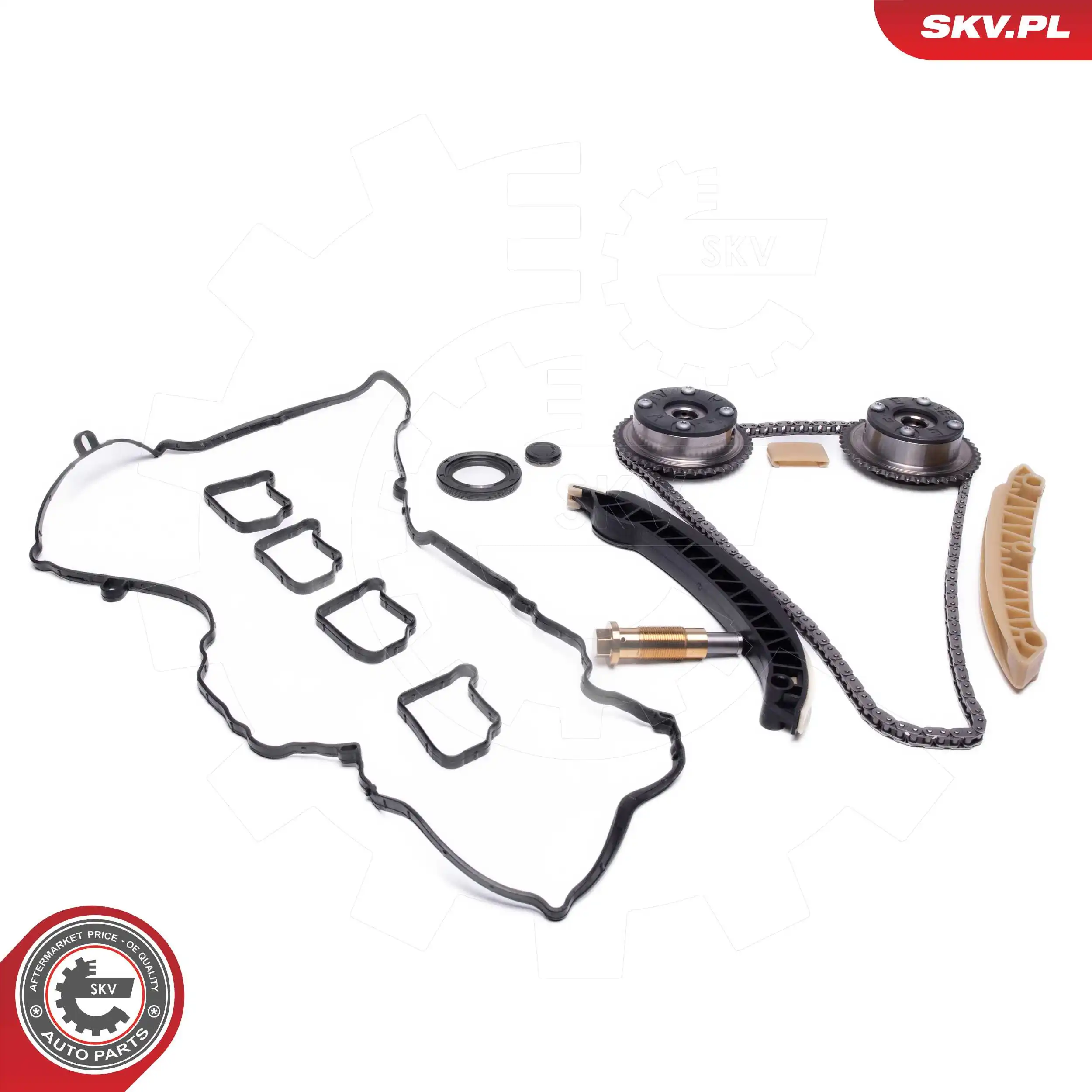 Timing Chain Kit 21SKV264