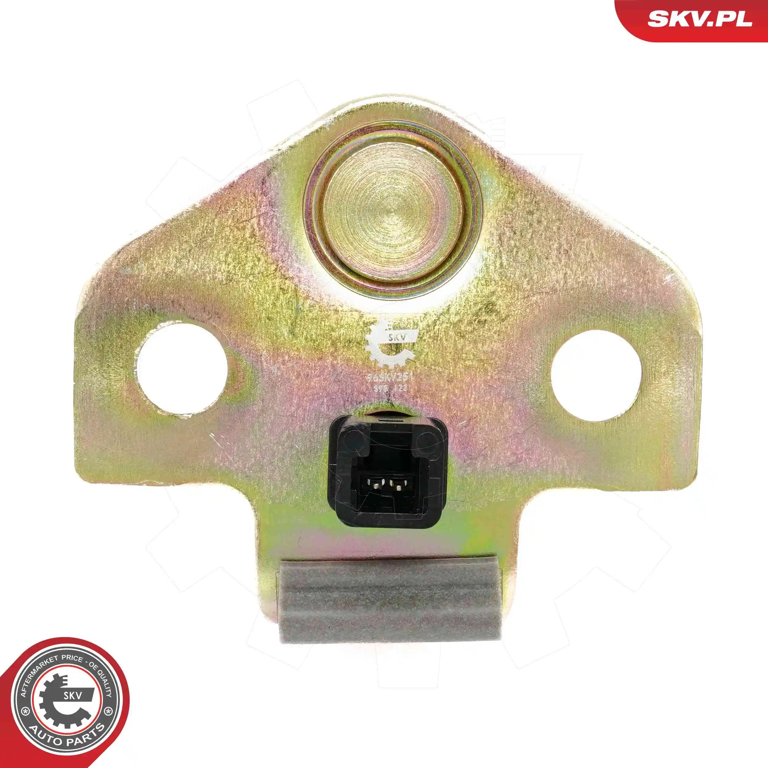 Door Lock 96SKV251