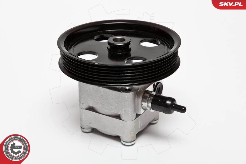 Hydraulic Pump, steering 10SKV074