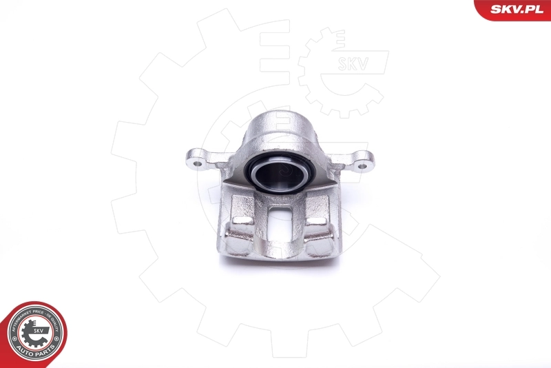Brake Caliper 34SKV331