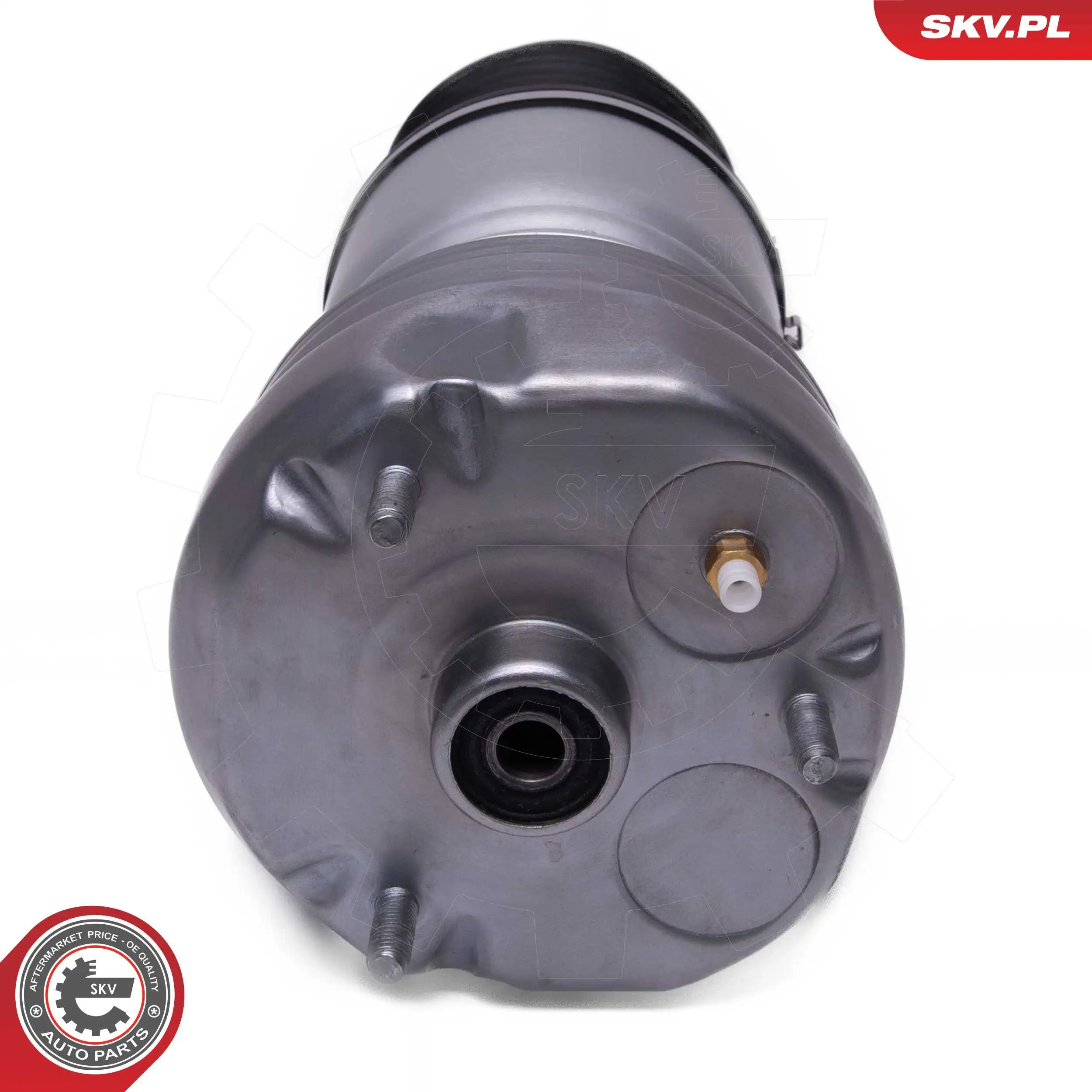 Air Suspension Strut 58SKV080