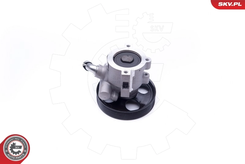 Hydraulic Pump, steering 10SKV250