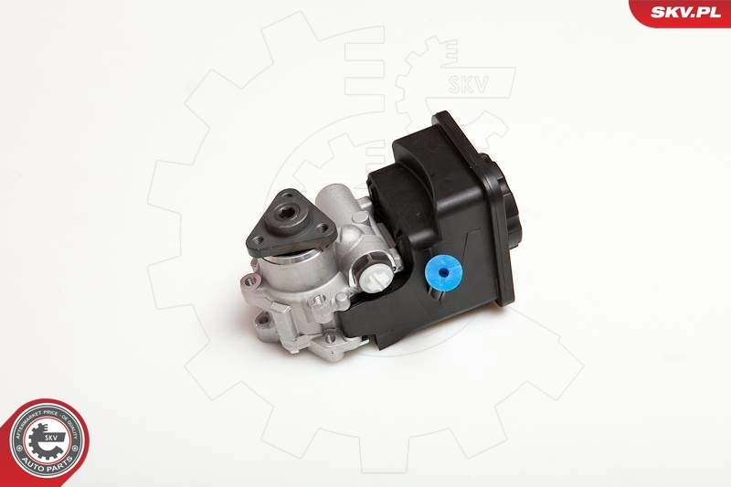 Hydraulic Pump, steering 10SKV012