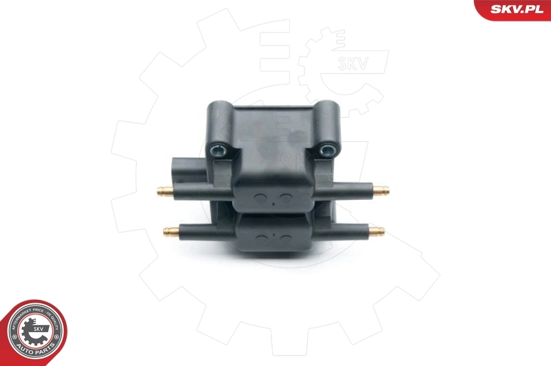 Ignition Coil 03SKV249