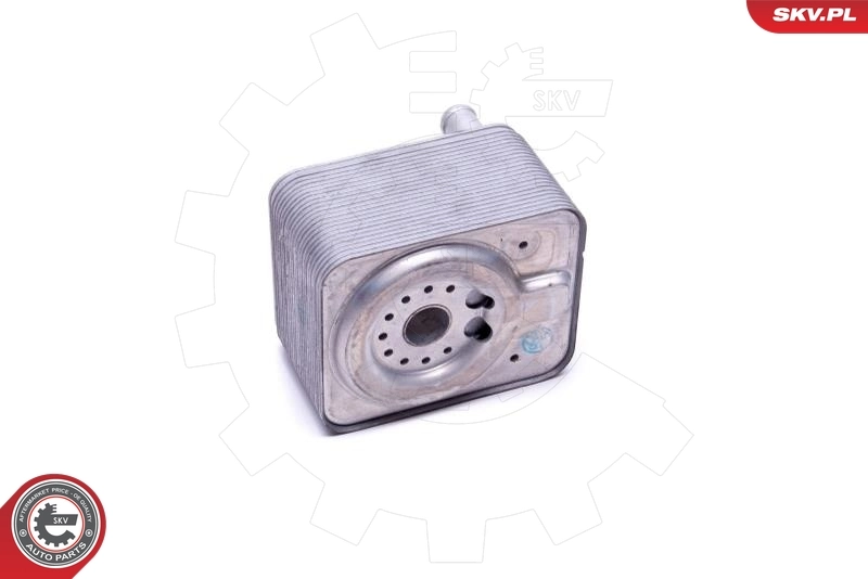 Oil Cooler, engine oil 31SKV208