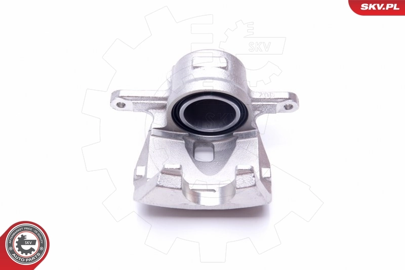 Brake Caliper 45SKV771
