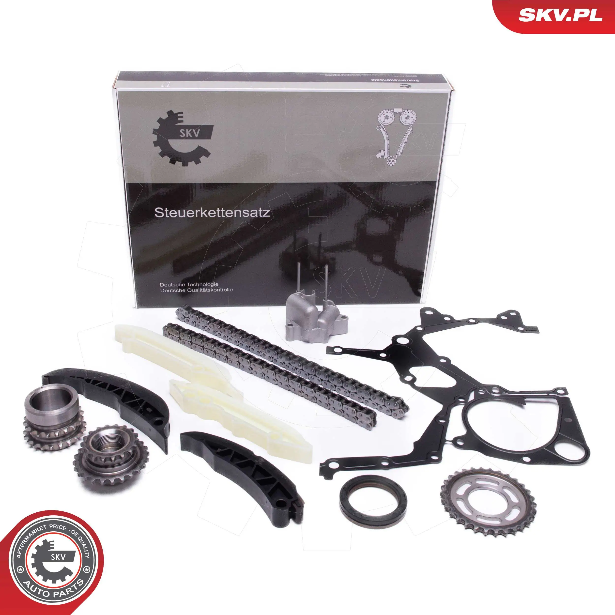 Timing Chain Kit 21SKV166