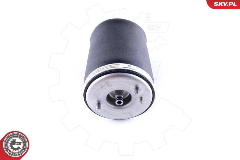 Air Spring, suspension 58SKV002