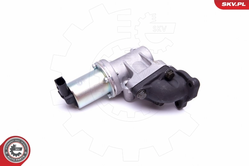 EGR Valve 14SKV214