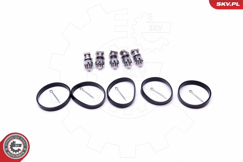 Repair Kit, intake manifold module 49SKV524