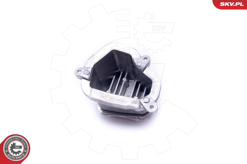 Control Unit, lights 59SKV112