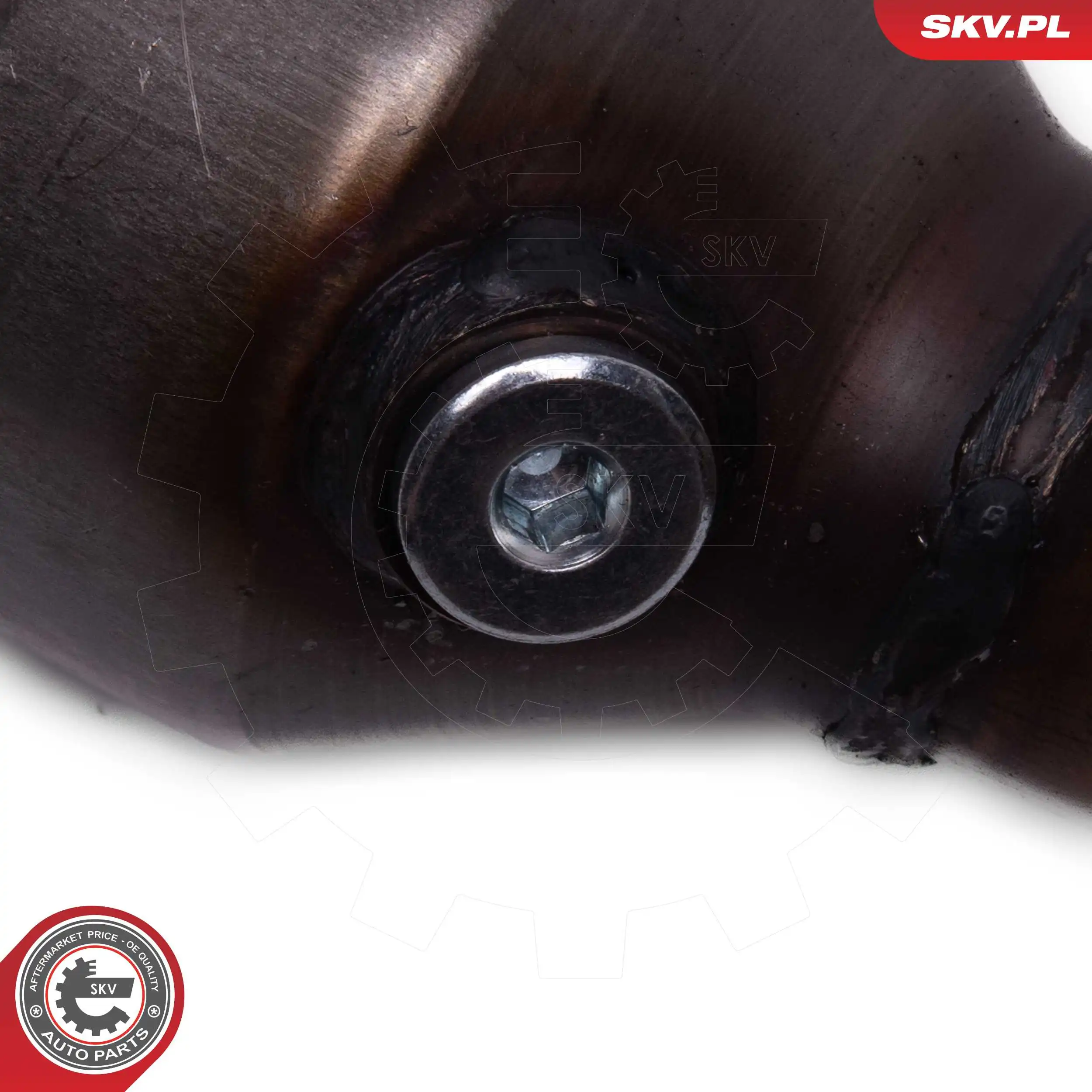 ESEN SKV 62SKV020 Catalytic Converter, universal