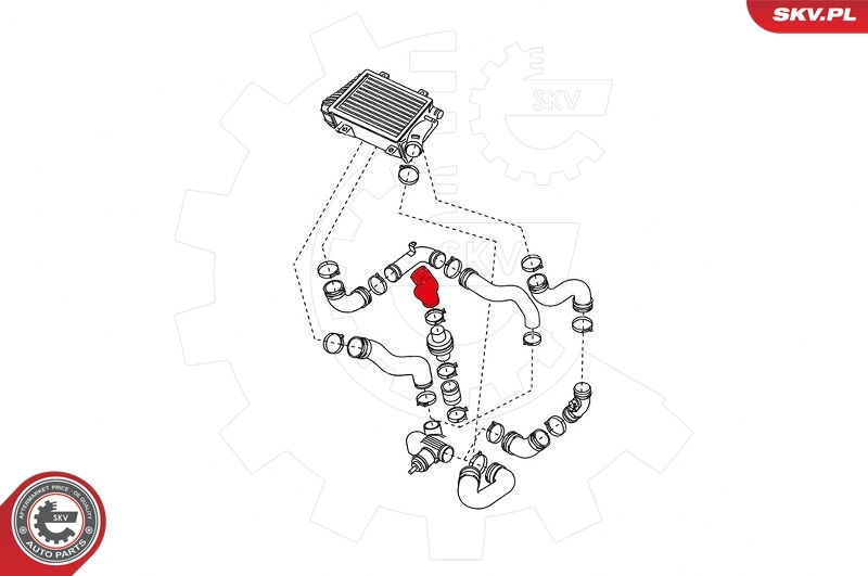 Charge Air Hose 24SKV746