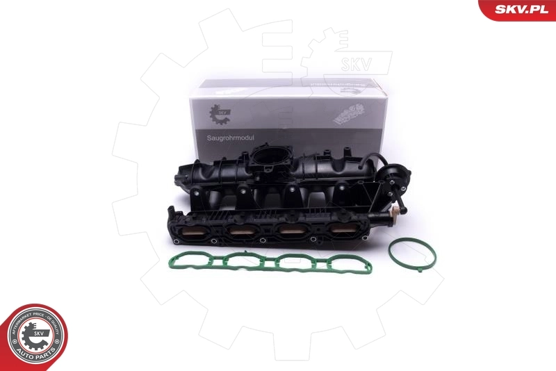 Intake Manifold Module 49SKV060