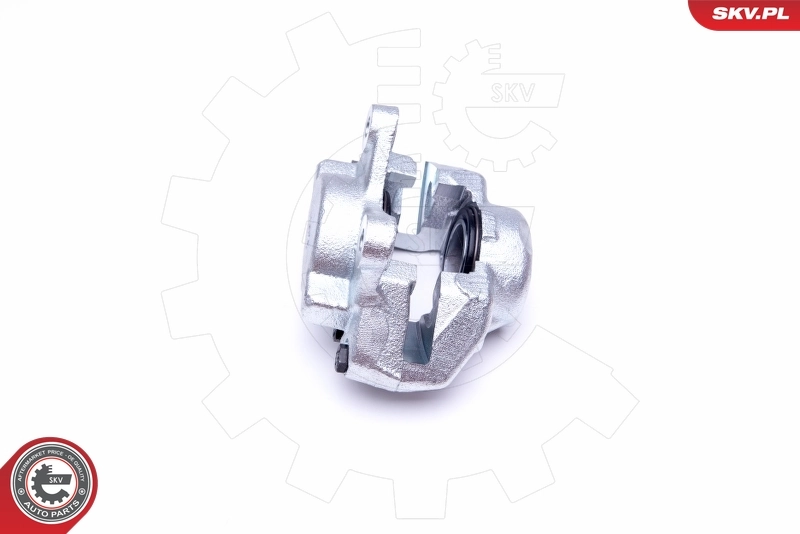 Brake Caliper 45SKV901
