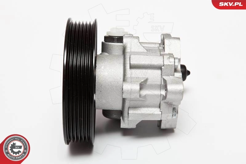 Hydraulic Pump, steering 10SKV063