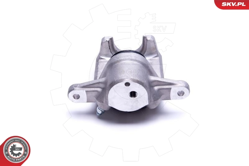 Brake Caliper 55SKV453