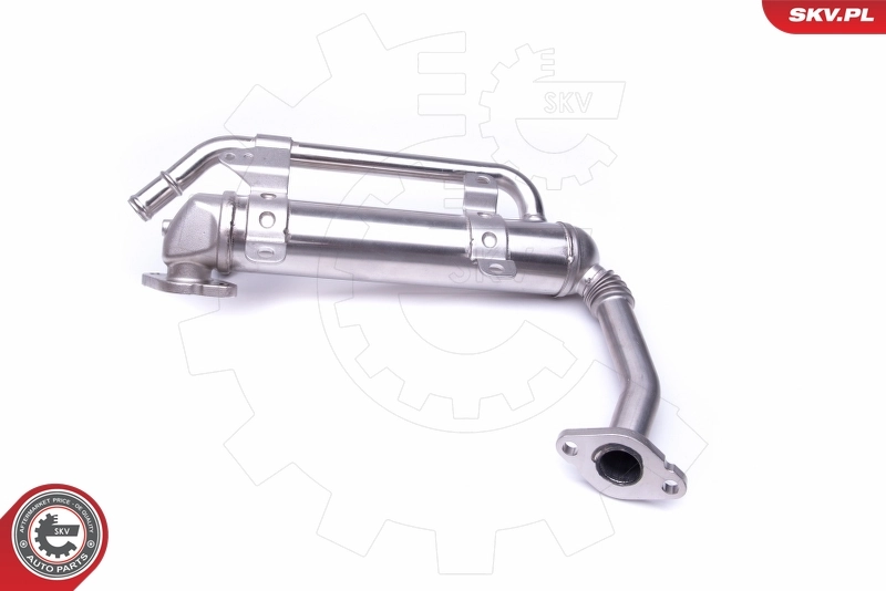 EGR Valve 14SKV223