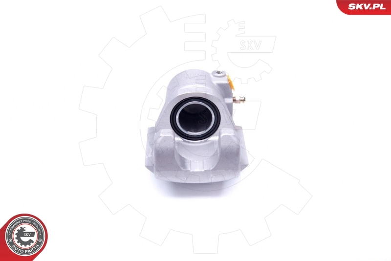 Brake Caliper 42SKV661
