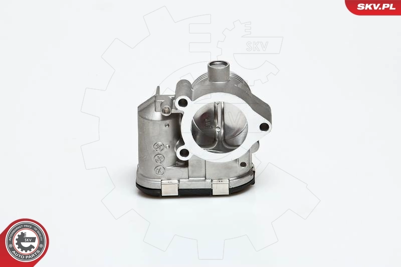 Throttle Body 12SKV001