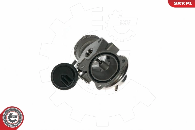 EGR Valve 14SKV090
