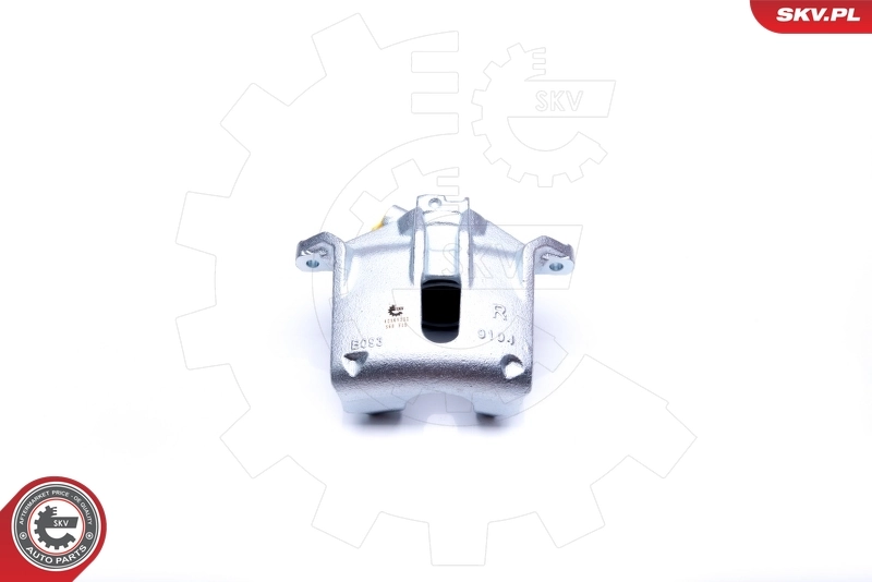Brake Caliper 42SKV222