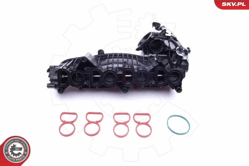 Intake Manifold Module 49SKV020